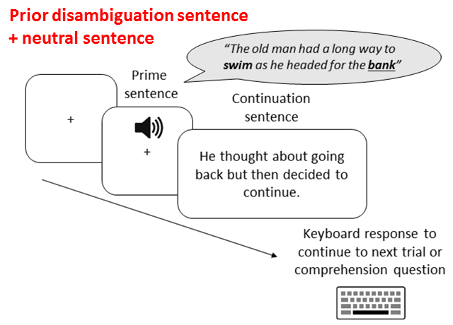 2 more expts! Prime sentence (“Sally worried that the BALL…”) then a 2nd sentence: biased to the correct meaning (“She had already bought a formal dress so…”) or neutral, (“She was the type of person who…”). We saw priming for ALL conditions, and no differences between them.