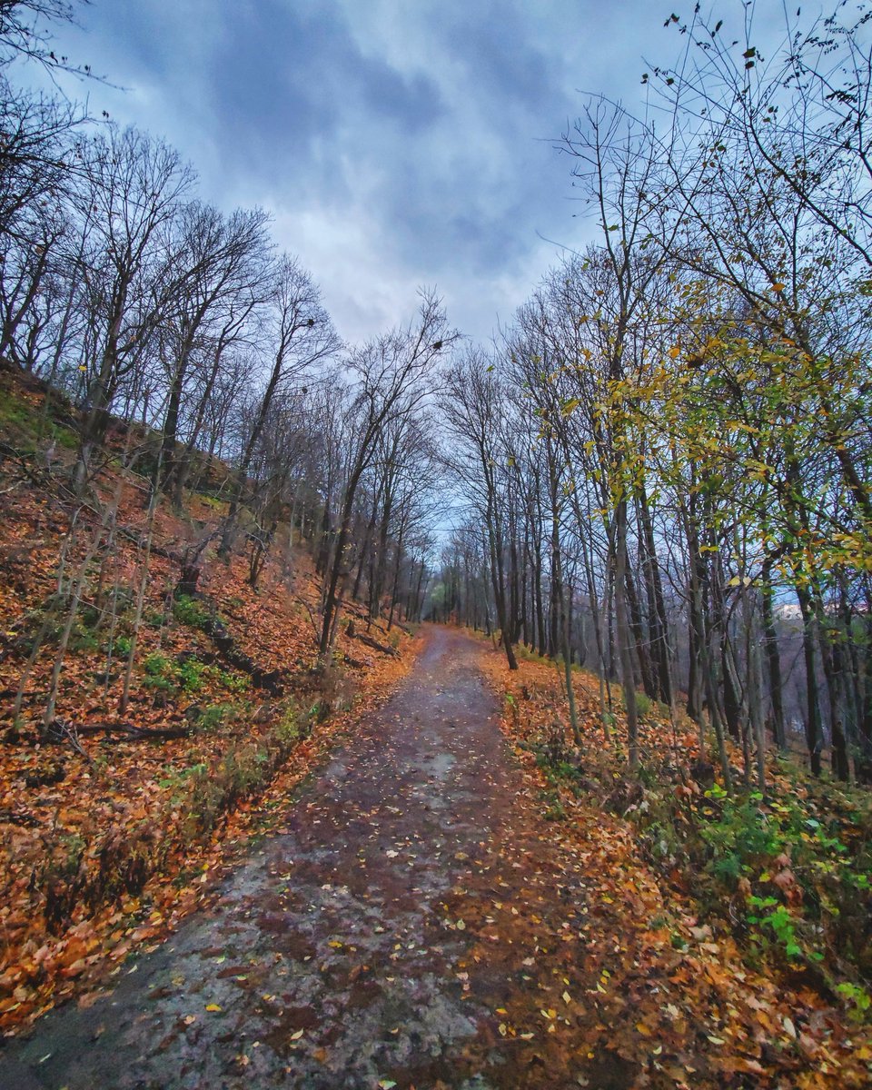 CLIMBHamilton's tweet image. Dreary is a state of mind, and nothing picks up your mood like moving, nevermind moving up the world's tallest mountain from your own city.

Summit #EverestInHamont now until December 31, and support great initiatives in our community!
climbhamilton.com 
#hamont