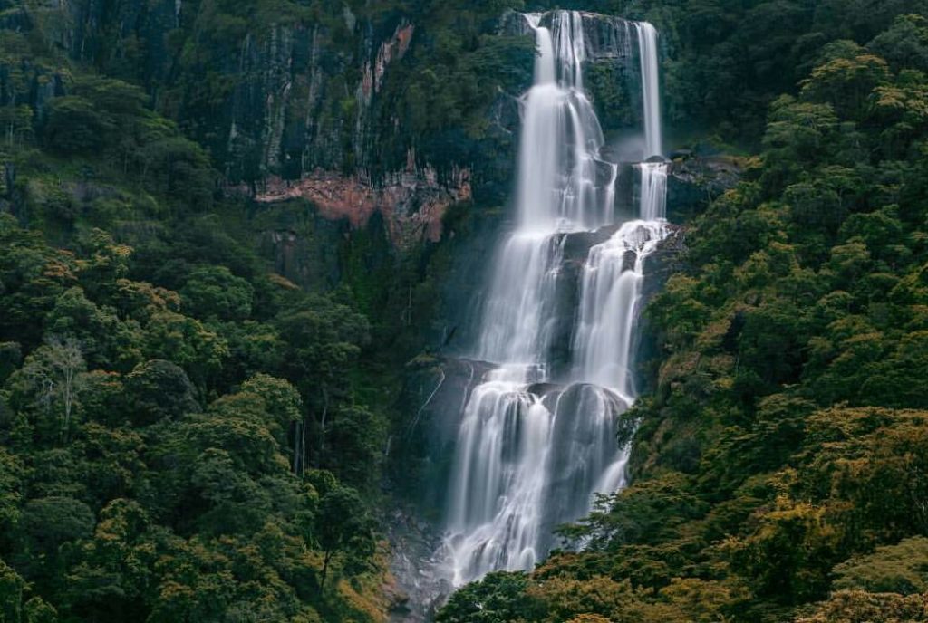 hadestays's tweet photo. Udizungwa Mountains National Park. | 350 km from Dar es Salaam.
Experience Hiking, beautiful birds, nature, water falls, mesmerizing views, rich landscapes and many more adventures.
(๐ธ courtesy)
#TzDestinations #Africa #UdizungwaMountains #Travel #travelblogger https://t.co/ncEzOnk5IB
