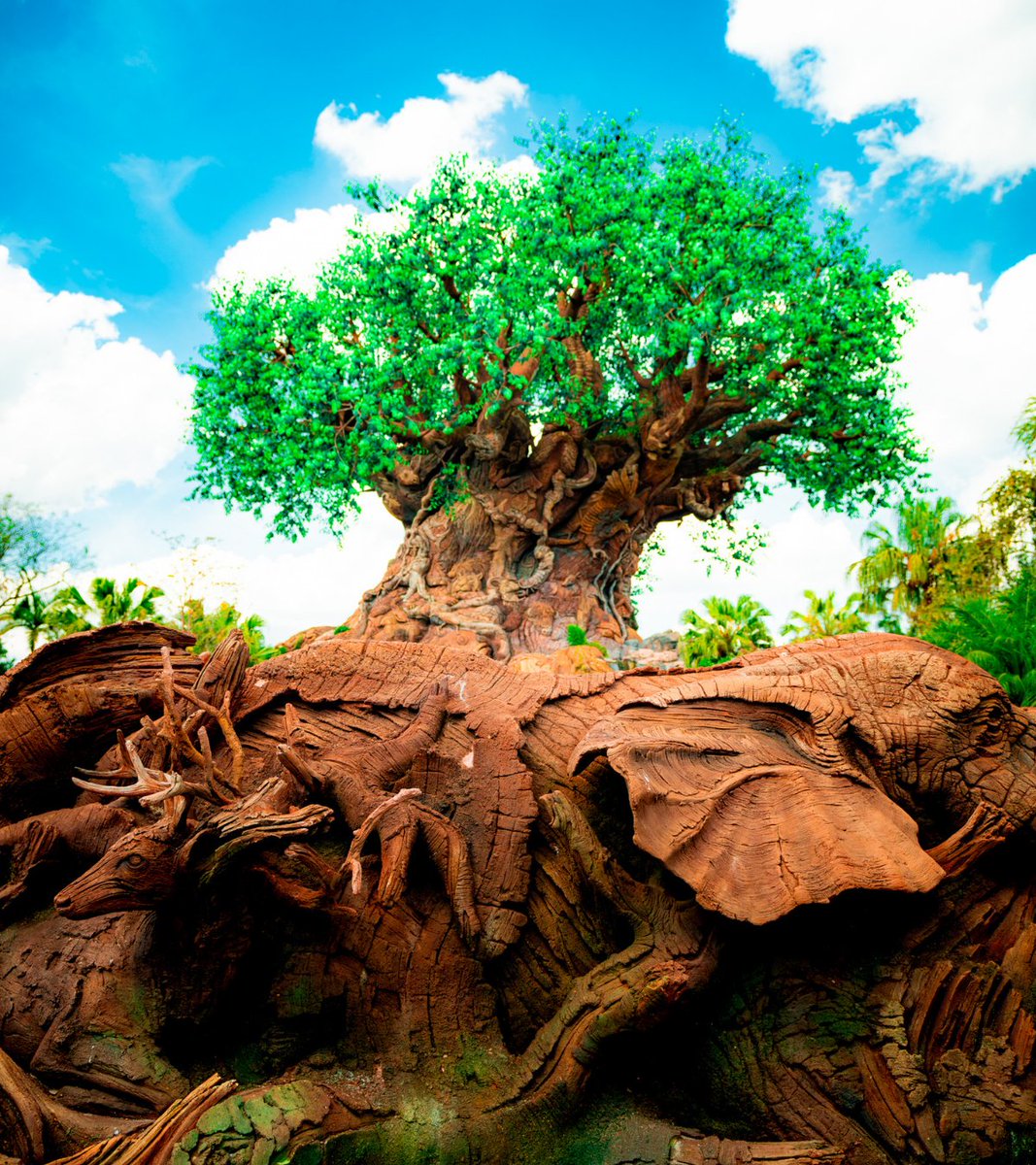 OrlandoInformer's tweet photo. BREAKING: Imagineer Joe Rohde, best known for his work on Disney's Animal Kingdom, has announced his retirement following a 40-year career with Disney. His last day will be January 4, 2021.

What's your favorite project the Disney Legend has worked on? https://t.co/5vA2PKwEJ2