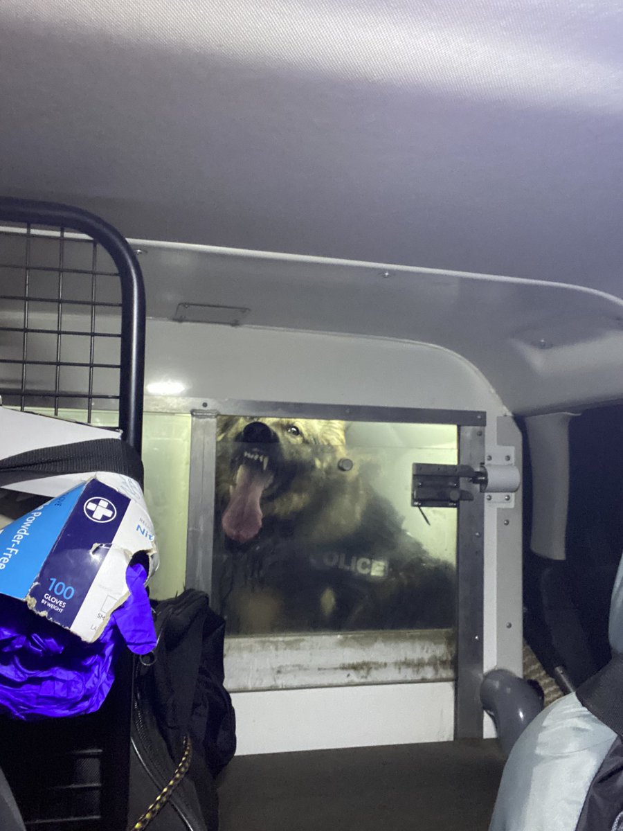 daraandmarshall's tweet image. Night shift vibes 🤪