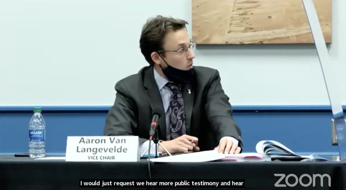 Aaron Van Langevelde is asking for public testimony before taking up the motion to certify Michigan's election results.