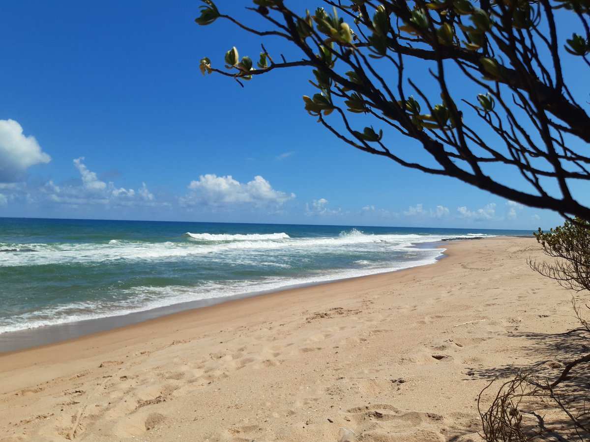 TutaBahia's tweet photo. Praia deserta, boa de namorar e nadar pelado... https://t.co/B7sL8H8PKH