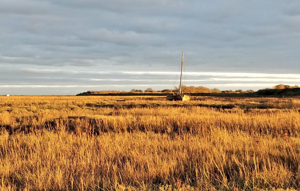 psychojography's tweet photo. A graveyard approach in the golden hour. #estuary https://t.co/PVtbTRg0RS