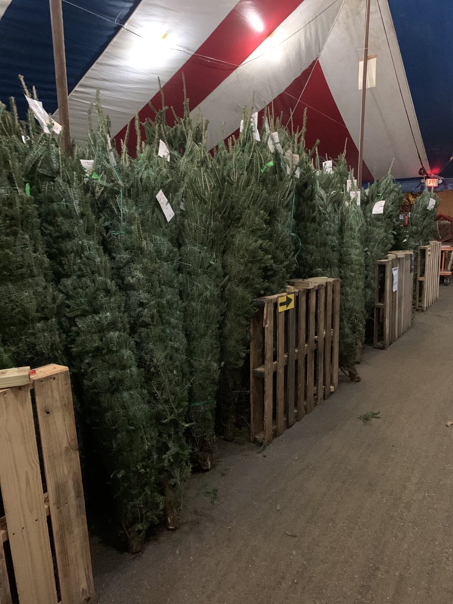 Fresh load of trees today! Come and get yours at Casselberry Home Depot! ⁦<a href="/thayer_eric/">EricThayer</a>⁩ ⁦@Wardally