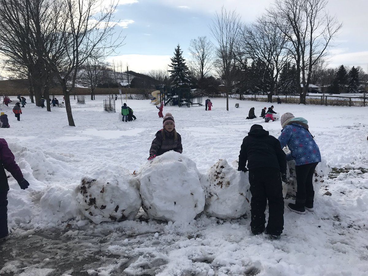 library_GPS's tweet photo. @TL_MrsP @GoodwoodPS @DurhamDSB We are so lucky here in the North. I’am  grateful everyday for the outdoors surrounding our school. https://t.co/lgmmnrL6PC