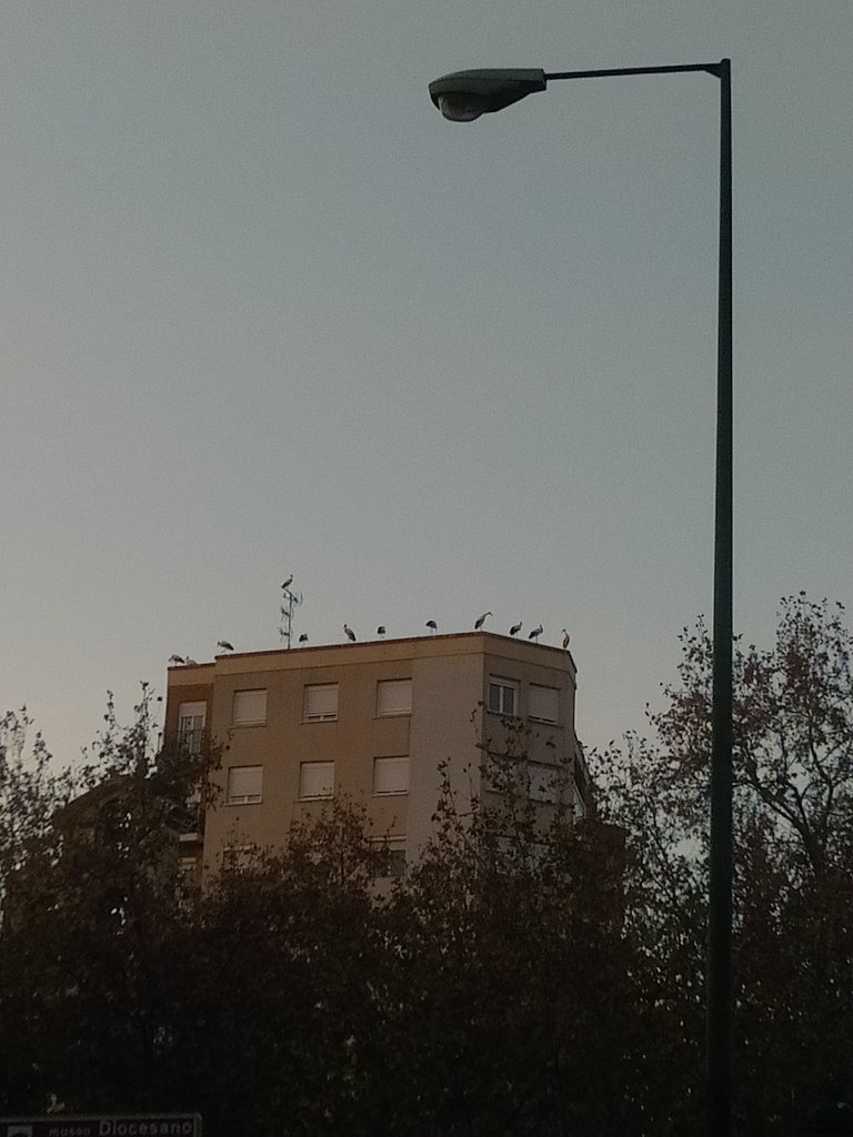 irenuus_'s tweet photo. Ojalá volar sin alas https://t.co/ZfTzjHMGKO