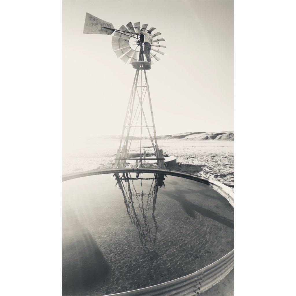 getpenned's tweet photo. Drop what you’re doing and take 5 seconds to just appreciate the beauty, longevity, and efficiency of windmills. #aermotor #windmill #nebrsaksasandhills https://t.co/xUMxHKqDBN