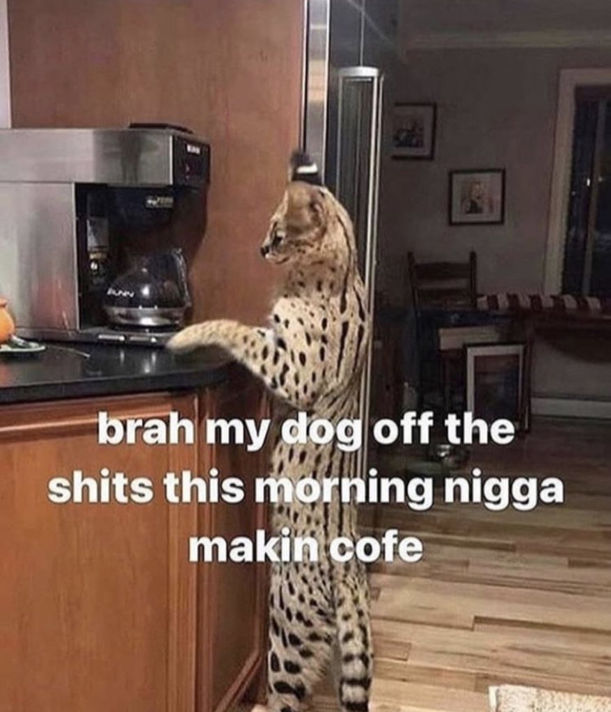 fanbasia_'s tweet photo. @mathiastyner Idk bro but if you fightin my dog it’s wraps https://t.co/nLuG2HjtQp
