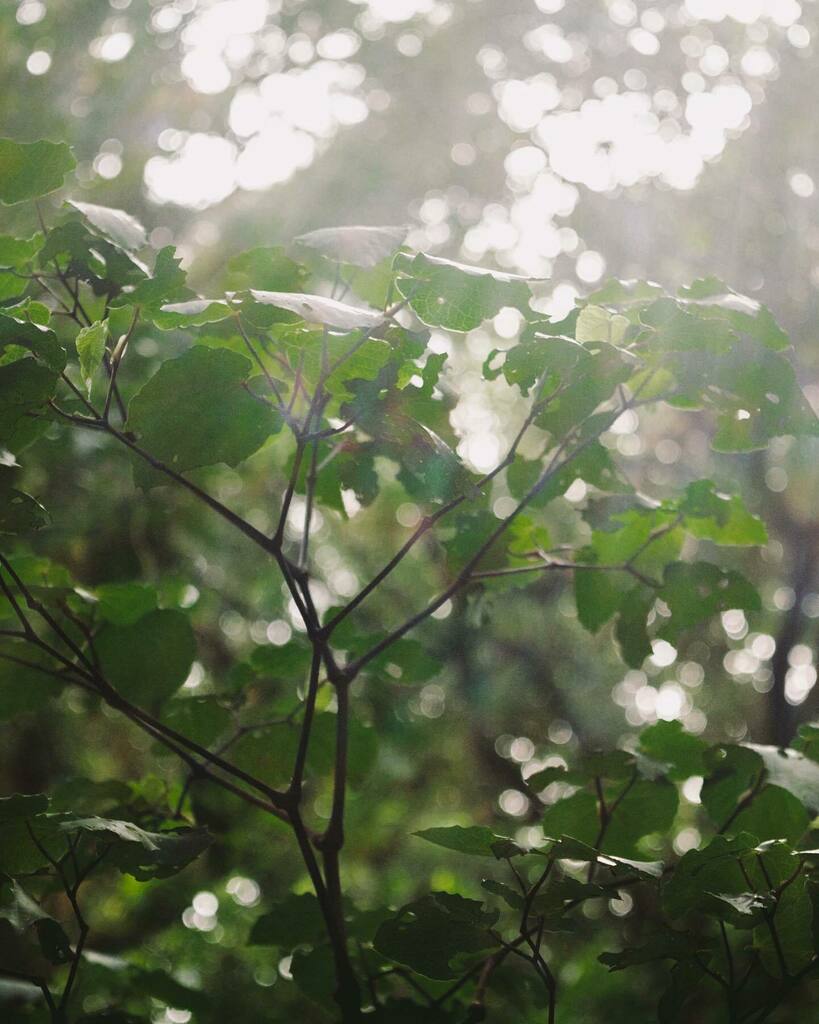 Thank you.
Thank you for waiting for me. 
Thank you for being there for me. 
Thank you for loving me.
.
Off the screen, I’ve been going through it. 
I’ve been working hard on creating a future for myself after a catastrophic series of events that happene… instagr.am/p/CH84_gOgtRK/