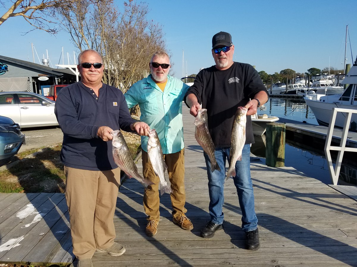 YorkRiverFishin's tweet photo. 🎣 We had a great "haze gray, underway" day aboard #CurrentAddiction with friends, and 🇺🇸 @USNavy Retired Chiefs ⚓️, Jack and Doug. #Virginia #ChesapeakeBay #StripedBass #Fishing https://t.co/peFlJIrF2a