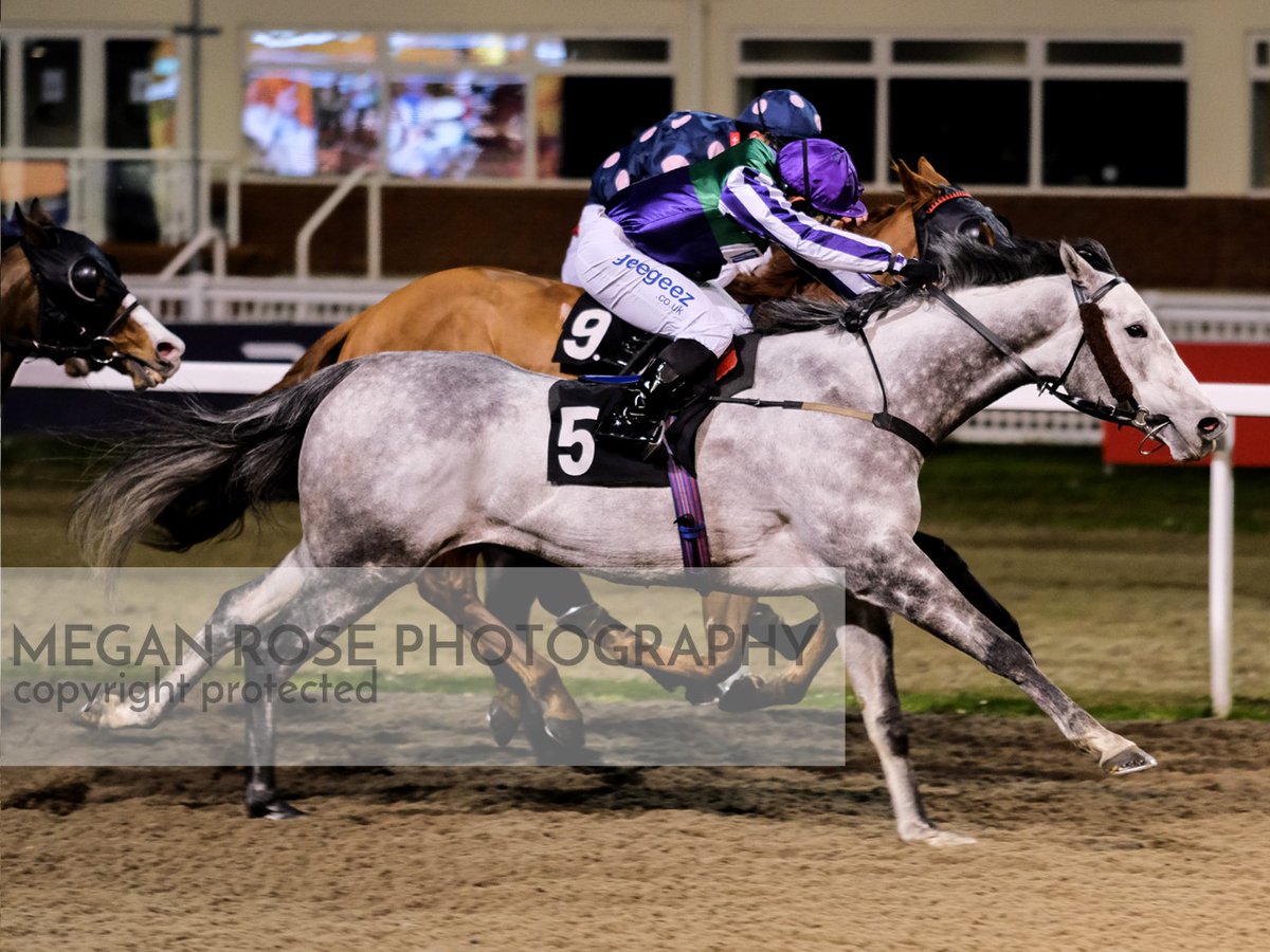 Chelmsford City Racecourse tweet media