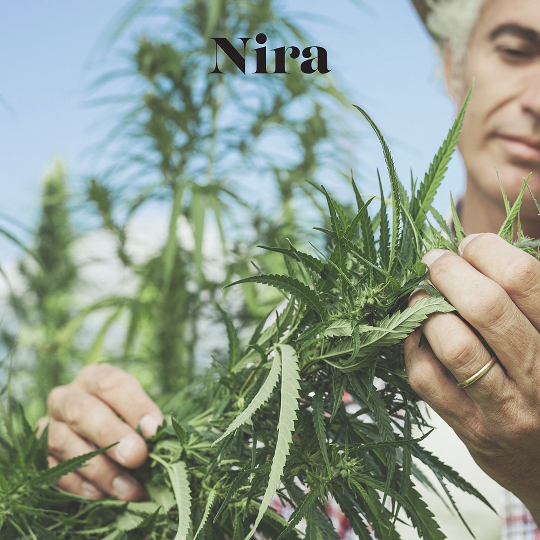 NiraCBD's tweet photo. Nira is focused on creating and providing only the best products for you; free of pesticides, heavy metals, solvents, and other toxins. https://t.co/5t5s1lKGJ9