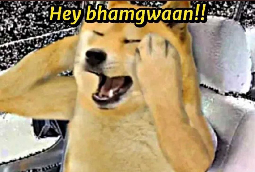 Taniax2o's tweet image. Mood right now. 

#SSRCulpritsRoamingFree   #DrugMafiaVsNCB