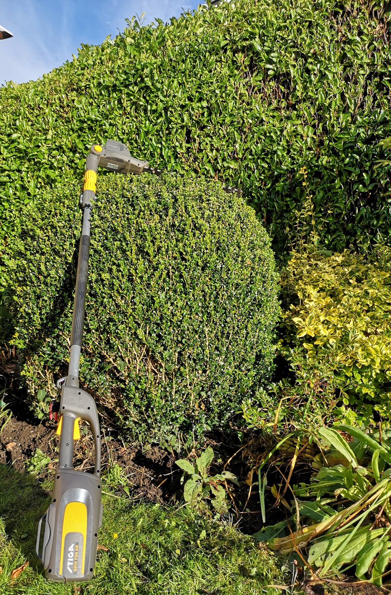 GiantVeg's tweet image. Bulb planting finished off and the final trim with the battery operated tools from @StigaLawnmowers @stiga_garden
#batterypower
#stiga
#batterytools