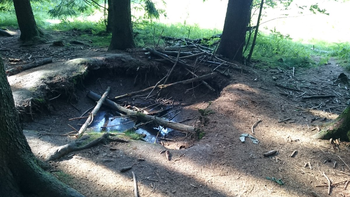 Particularly the woods overlooking Foy, where the foxholes and craters left by shelling are still preserved. To walk where these men sat in the freezing cold, bombarded night after night, was breathtaking.