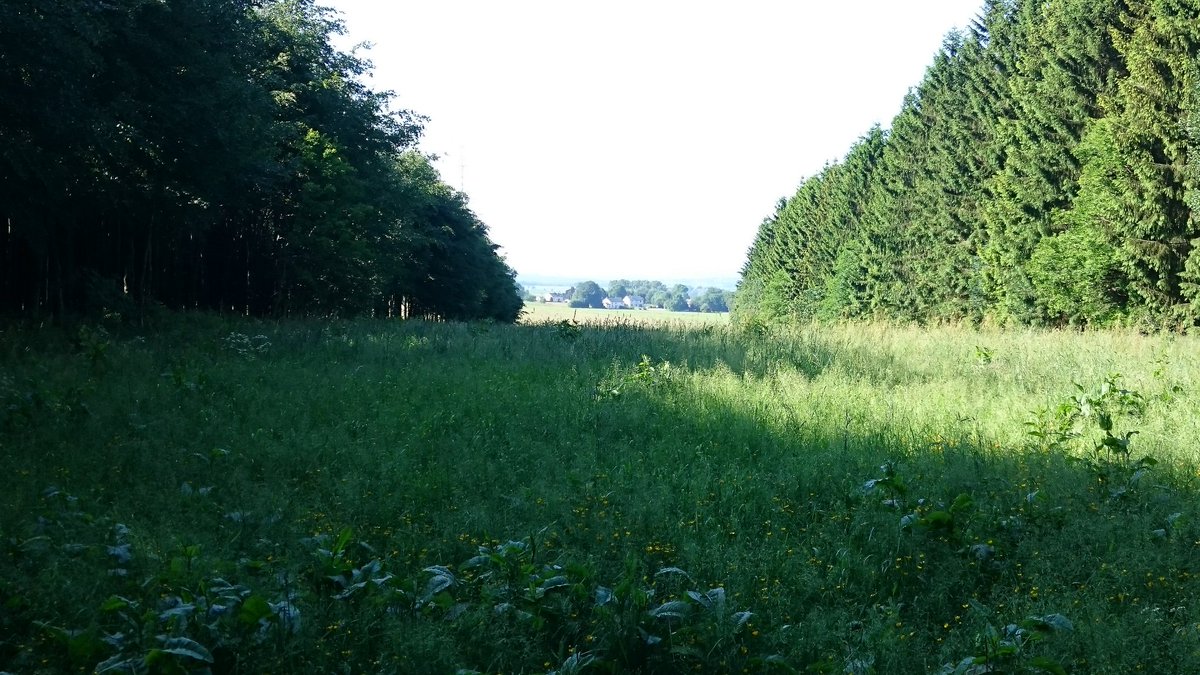Particularly the woods overlooking Foy, where the foxholes and craters left by shelling are still preserved. To walk where these men sat in the freezing cold, bombarded night after night, was breathtaking.