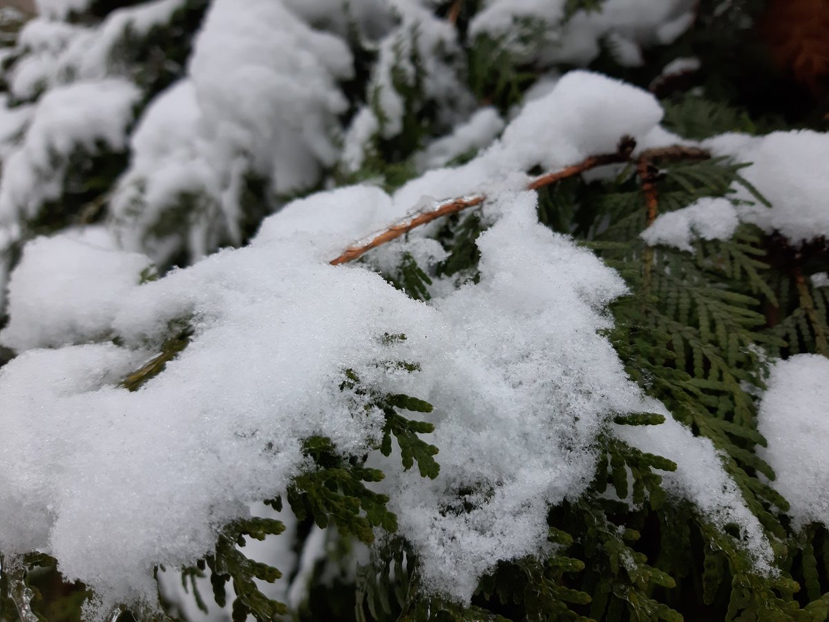 lenny_deviant's tweet photo. Winter is so beautiful! 😍😍😍 #godeviant #DechartGames https://t.co/qNgSNI8U6L