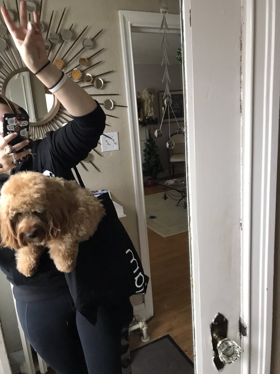 toryhut's tweet image. Lock your dogs my dog is gonna steal your wives, husbands, children and anything important to you. He looks so damn cute in the @LiamPayne tote bag, peep my #theLPShow hoodie from #LPShowact3