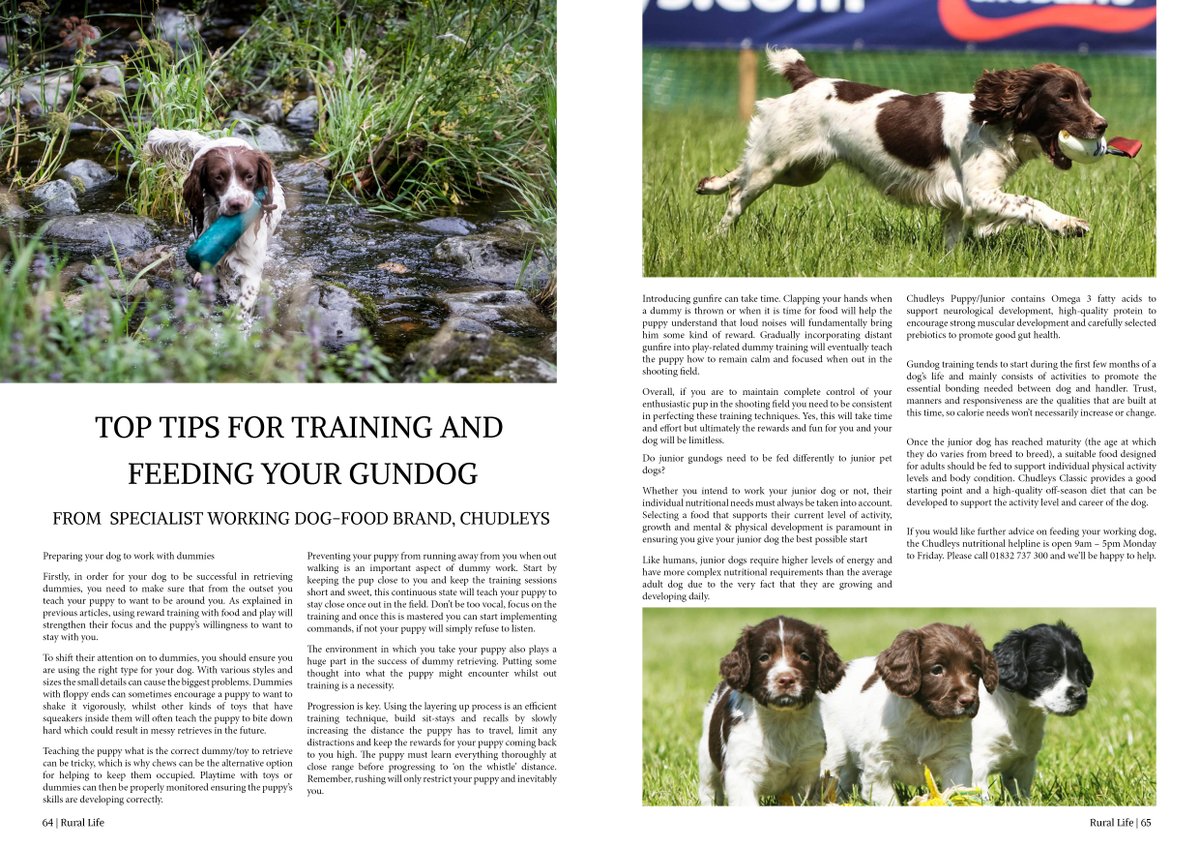 chudleys classic dog food