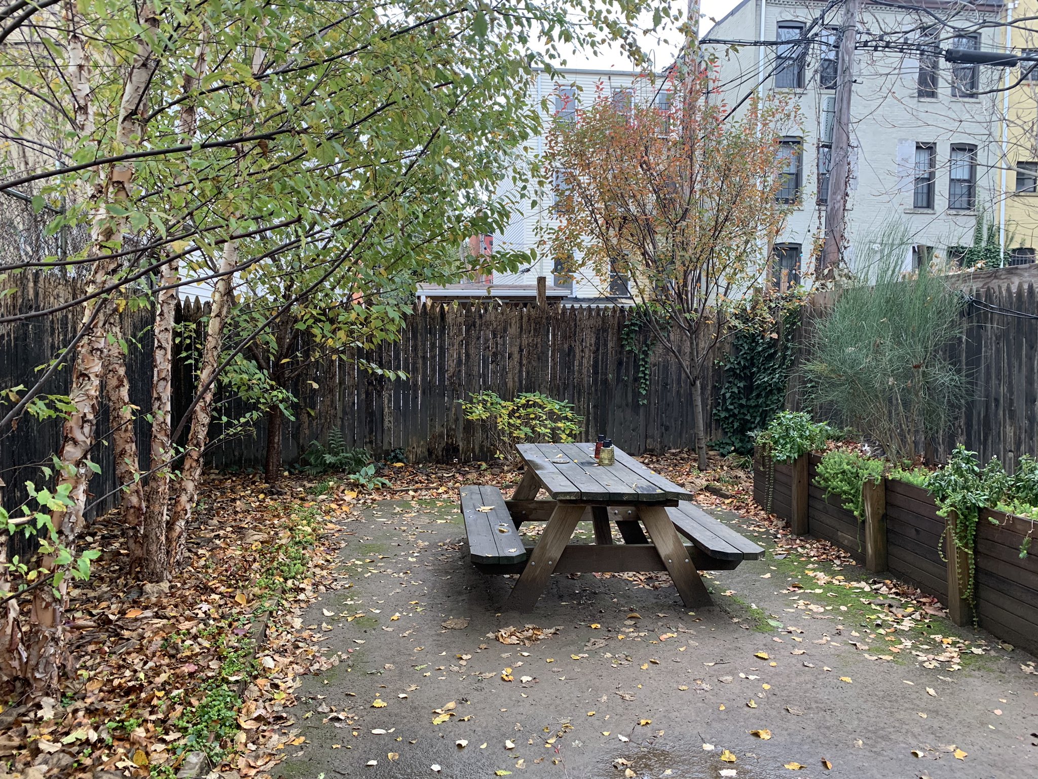 ゆう En Twitter 庭の花壇とか木のまわりとかにはマルチングの代わりに今の季節は落ち葉集めて敷いておくんだけど 猫が喜んでる様子 T Co Yrcctkomxh Twitter