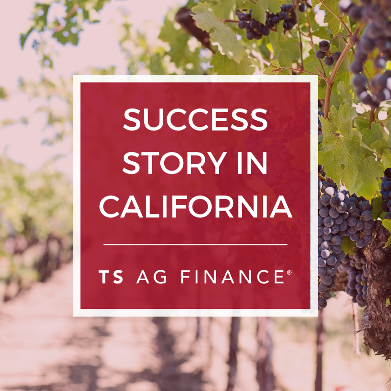 TSAgFinance's tweet photo. We closed a $5.7M loan. The borrowers chose the Ag Equity RLOC with a 5 yr draw period, 30 yr term and 25 yr amortization, using a Farmer Mac loan. They pledged 307 acres of wine grapes as collateral and used the funds for business needs. Read more here: https://t.co/eB5yTVsOKg https://t.co/xu0mLlL5QW