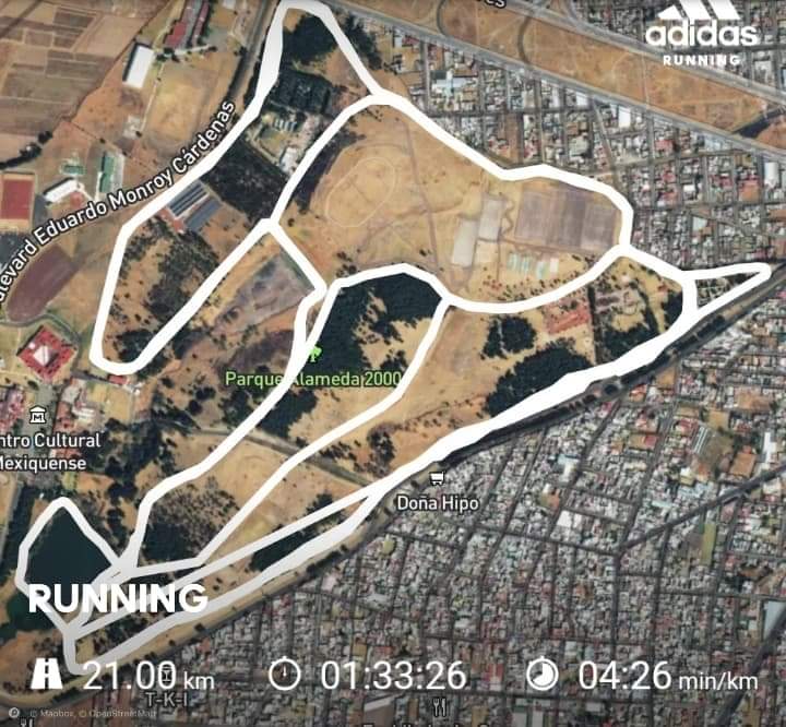 321animate's tweet photo. El entrenamiento de hoy #21k, #FelizInicioDeSemana https://t.co/gU1z3NUP6A