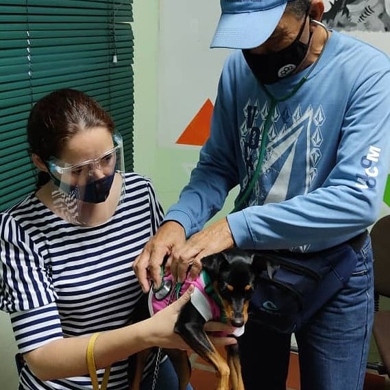 FNevadoCarabobo's tweet photo. El pasado viernes en nuestro Punto Nevado en Naguanagua fueron atendidos con consulta, desparasitación y aplicación de vacuna antirrábica 27 caninos y 8 felinos ♥️🐕🐈♥️

#Carabobo
#MisionNevado https://t.co/LVbbQuDb8G