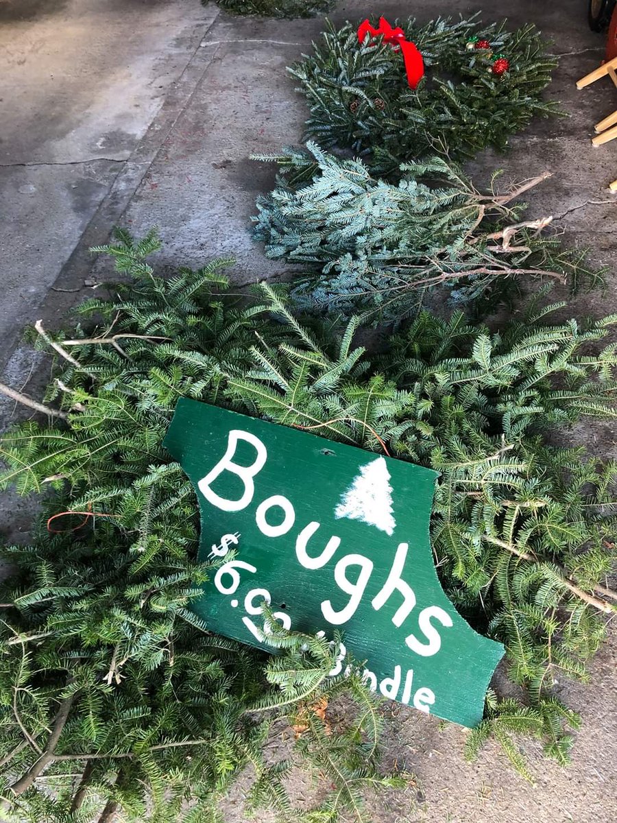 LoraSheskey's tweet photo. Sheskey Family Trees are ready for your home 🌲🎄

🎄Balsams and Frasers 6-9’ $30-$75. 
⛄24-36” decorated wreaths 
🌿Boughs

2 miles North of Brandon by the railroad tracks. W12605 Sheldon Road.

Brandon WI 53919 https://t.co/aR2OIMhpBu