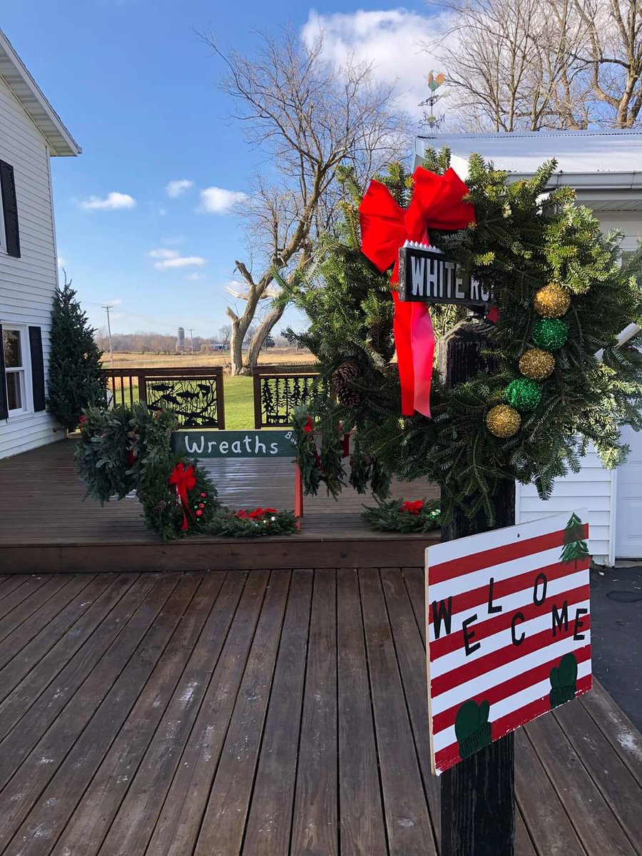 LoraSheskey's tweet photo. Sheskey Family Trees are ready for your home 🌲🎄

🎄Balsams and Frasers 6-9’ $30-$75. 
⛄24-36” decorated wreaths 
🌿Boughs

2 miles North of Brandon by the railroad tracks. W12605 Sheldon Road.

Brandon WI 53919 https://t.co/aR2OIMhpBu