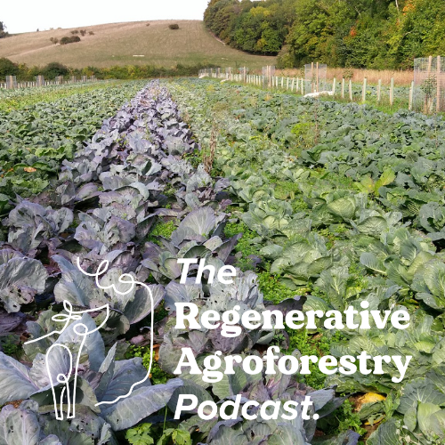 Regagroforestry's tweet photo. We are happy to present to you the next episode! Iain Tolhurst from Tolhurst Organics talks to us about his vegetable intercropping system. 

LINK HERE: https://t.co/MI5t2HlhMt

#regenerativeagroforestry #Agroforestry #regenerativeagriculture #agroecology https://t.co/KnwRtYGRA5