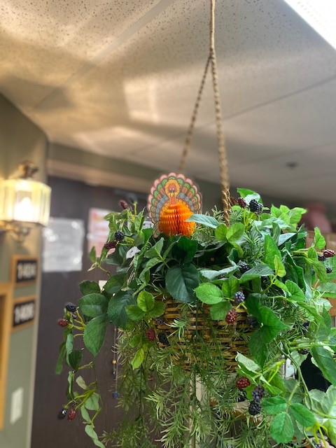 Auburn_Homes's tweet photo. The halls of the Auburn buildings are decorated in the spirit of Thanksgiving. AHS is grateful for it's amazing staff, residents, their families and friends and YOU!
#seniorliving #seniorlivingorg #seniorcaring #nursinghomes #assistedliving #assistedlivingfacil https://t.co/GxitlM1RnS