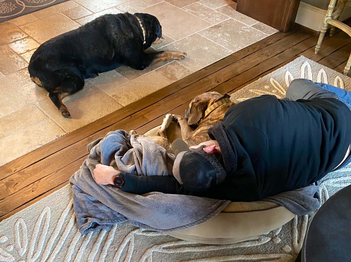 dbackes42's tweet photo. There is never a perfect time to say goodbye to your companion, especially during the holiday season. Our Rosey girl, “boof boof” graced our family for the last 11 years as companion, guardian &amp; protector. The caring @MNpets team helped us with a peaceful passing at home today. https://t.co/4vd2q1W67A