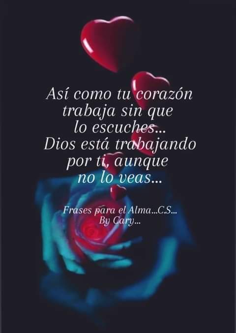 Angelica Gil Flores (@angelicagilflo) on Twitter photo 