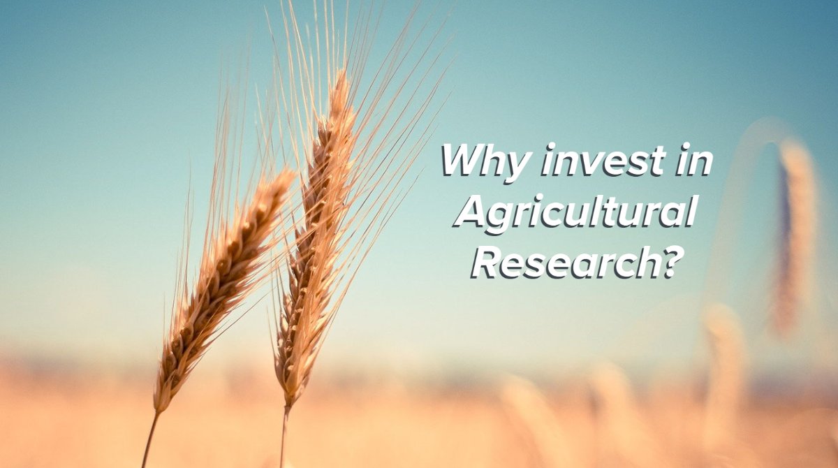 Ag R&amp;D has the highest returns of any #public #investment. A recent report from @soarfdn calculated that <a href="/CGIAR/">CGIAR</a>  – the largest international #ag R&amp;D system – generates a benefit-$ ratio of 10:1. Investments build resiliency for future challenges. #Kansas #state #policy #Dialogue