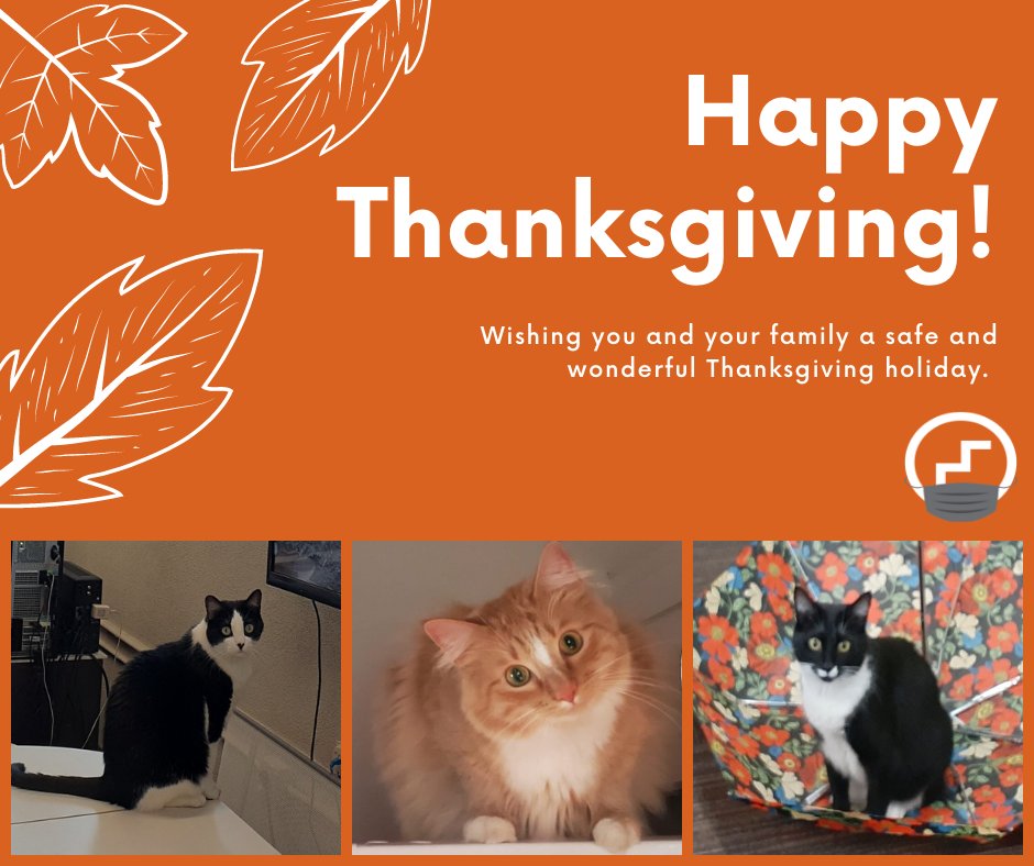 McIntoshGroup's tweet photo. Happy Thanksgiving. Stay safe. #McIntoshTransforms #TMG https://t.co/qoAo85dYQF