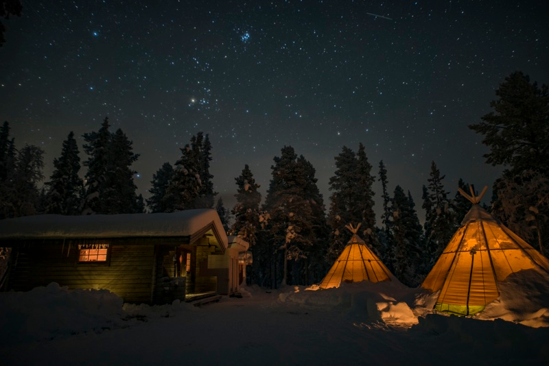 WildSweden tweet media