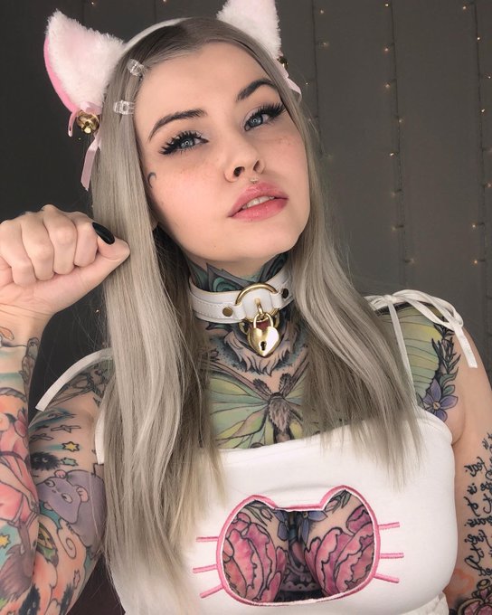 oops accidentally became a cat girl https://t.co/vKbZFeedoH