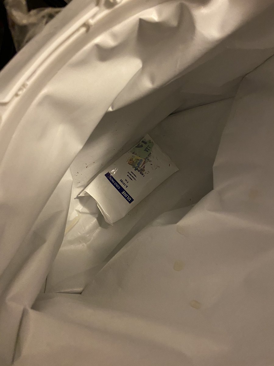 Inside the bag was the tiniest ice pack I’ve ever seen. Completely thawed! A pool of water that smells like vomit lined the bottom of the bag.   /2
