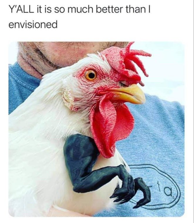 深津 貴之 The Guild Note 3dプリンタ製の ニワトリのためのティラノサウルスの腕アクセ なんでこんなの作ったw