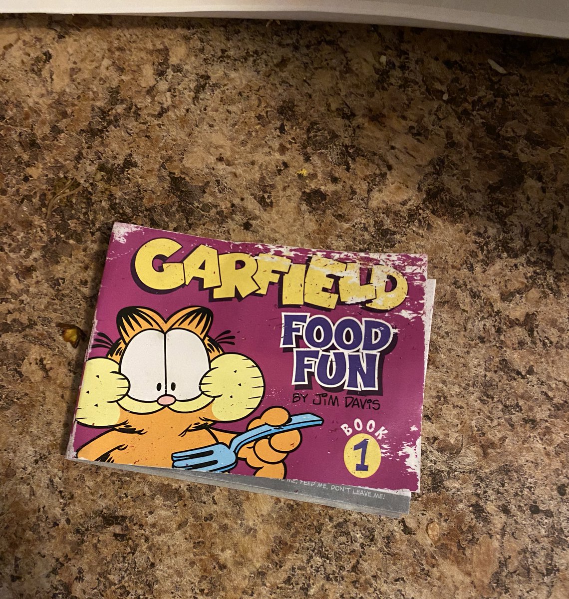 Nathen Mazri was very thoughtful though. He packed a collectible Garfield mini comic book at the very bottom of the bag for me.Owning a piece of Garfield paraphernalia that’s waterlogged and smells awful feels great. Should I laminate this!?/3