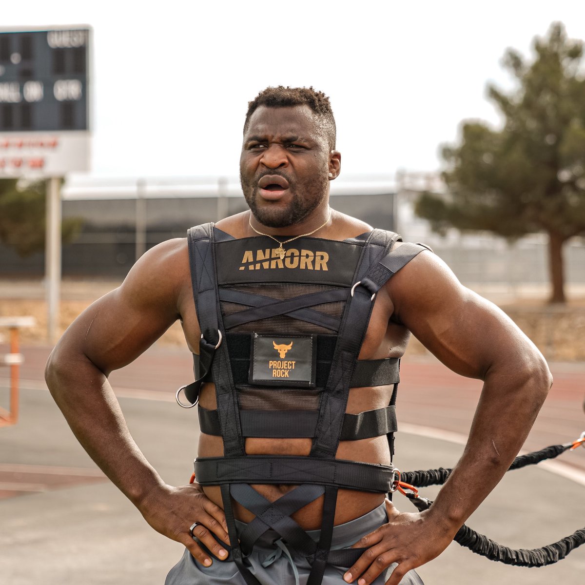 Francis Ngannou tweet media