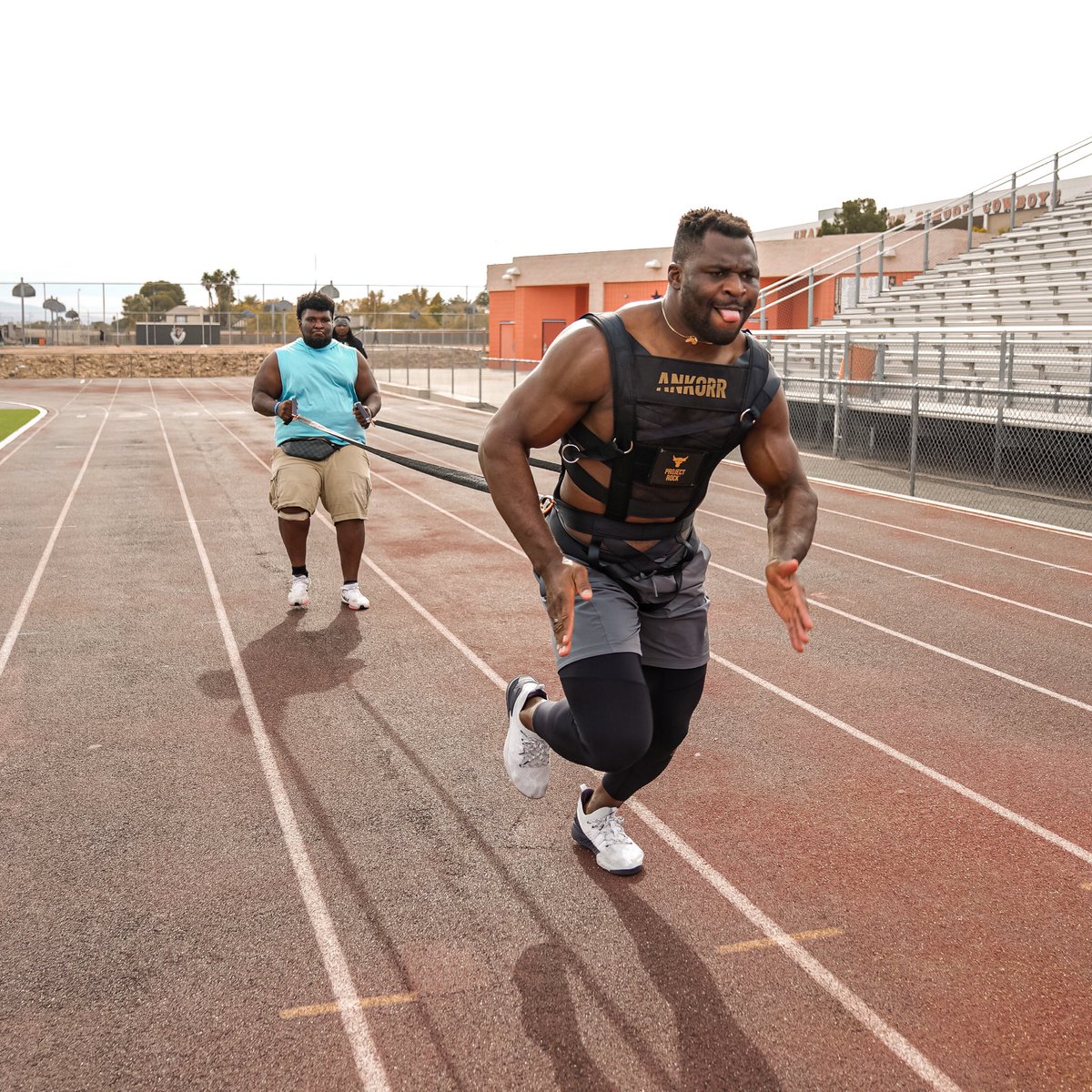 Francis Ngannou tweet media