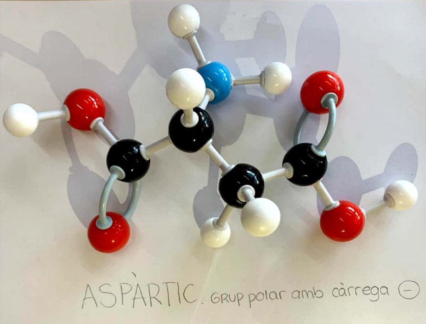 Per a alguns alumnes, quan les molècules surten del paper o la pantalla, de sobte, prenen significat. Per arribar a tots els nois i les noies, cal abordar els conceptes des de diferents vessants. @SantMarcBCN #aprenentatgemanipulatiu