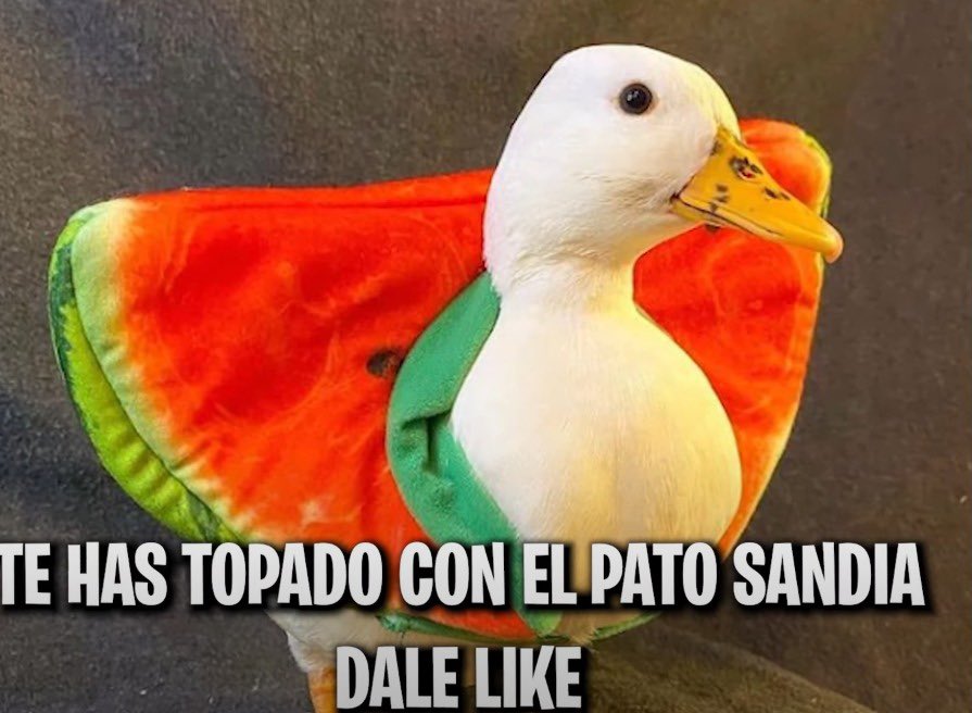 Oscar Razo (@Racso_Madara) | Twitter