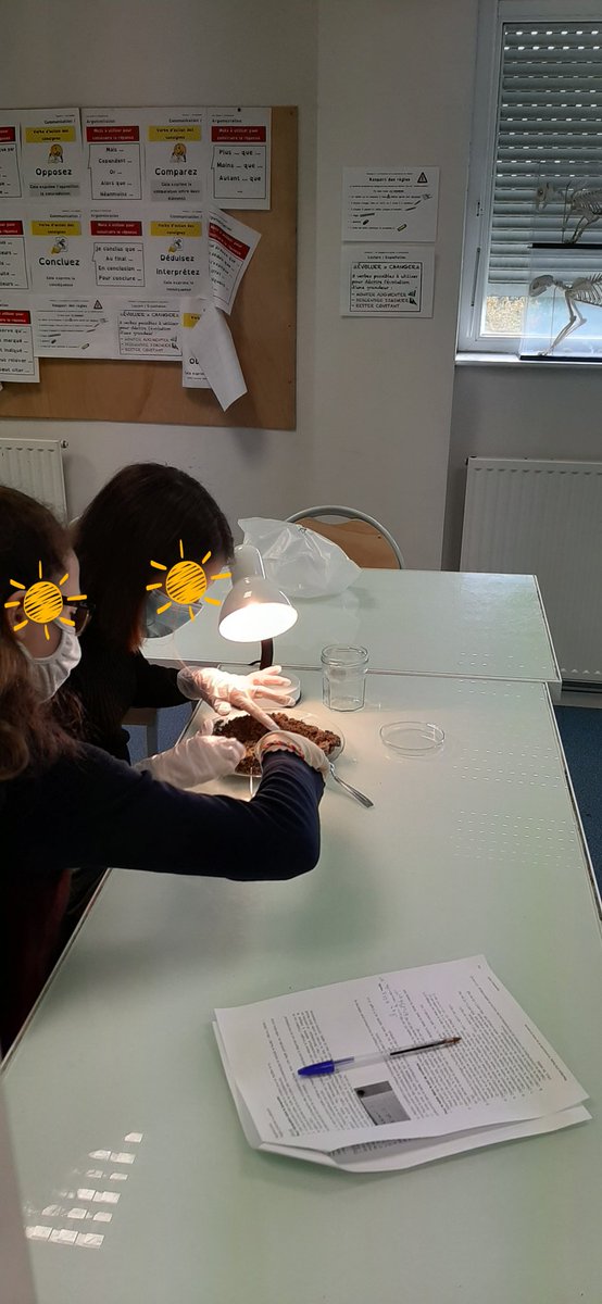 Et Agathe et Iris sont super appliquées sur le tri des microplastiques de sable.
Bon, pour la 2e année pas grand chose mais l'absence de résultat et un résultat,  non ?
Ile de la Metairie peu polluée.
On va contacter @UnivTours et GeHCo pour enquêter 
geosciences.univ-tours.fr