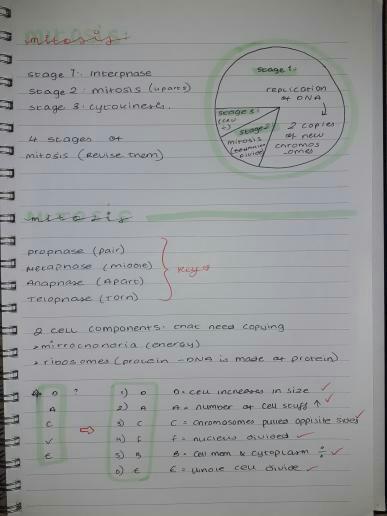 x.codeyyy.x tweet media