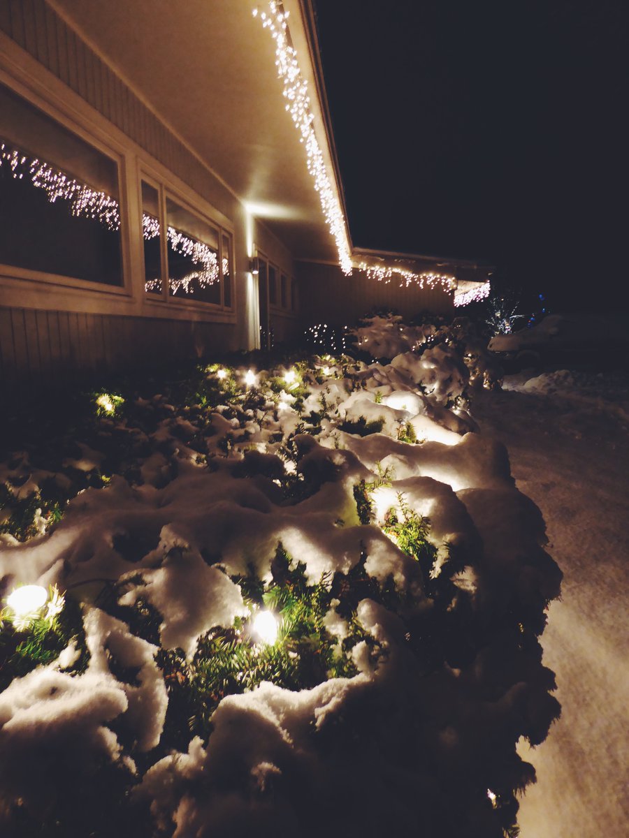 Allow Ringers to make this holiday season, the best ever. 

Spend time with your family instead of digging through tangles of cords and light bulbs. We transform your home and business to look professional and spirited with container arrangements, holiday lighting, and décor.