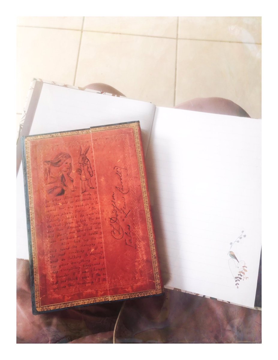 talepeddlerJo's tweet photo. Nothing delights me more than new notebooks. Especially when they have birds on the pages or Alice in Wonderland themes. Time to dream. #Amwriting #stationery #notebookqueen https://t.co/Nt8uas7ytd