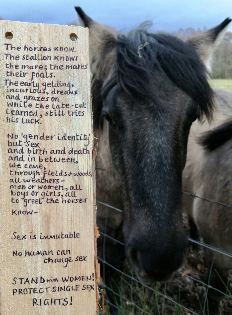 Woods near Blairgowrie, Perthshire :  #womenwontwheest "Desperation is the mother of invention", especially when a woman can't get her hands on some slate so tries another natural material to get her message out there.